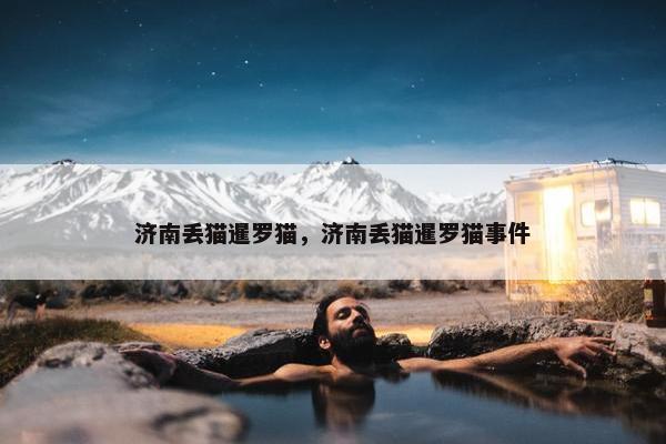 济南丢猫暹罗猫，济南丢猫暹罗猫事件
