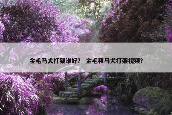 金毛马犬打架谁好？ 金毛和马犬打架视频？