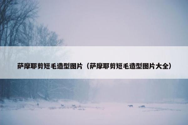 萨摩耶剪短毛造型图片（萨摩耶剪短毛造型图片大全）