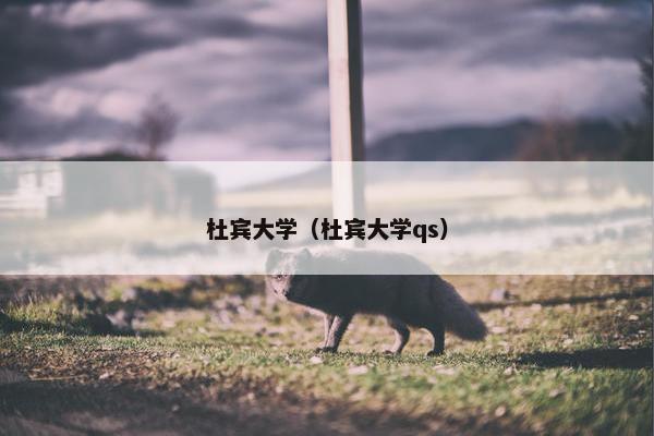 杜宾大学（杜宾大学qs）