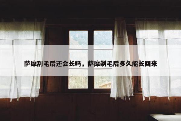 萨摩刮毛后还会长吗，萨摩剃毛后多久能长回来