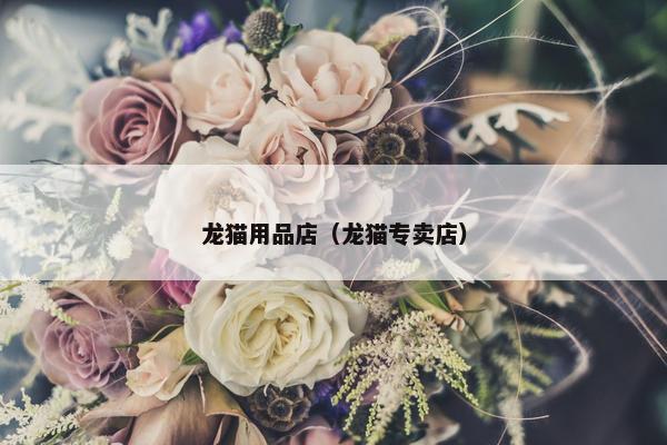 龙猫用品店（龙猫专卖店）