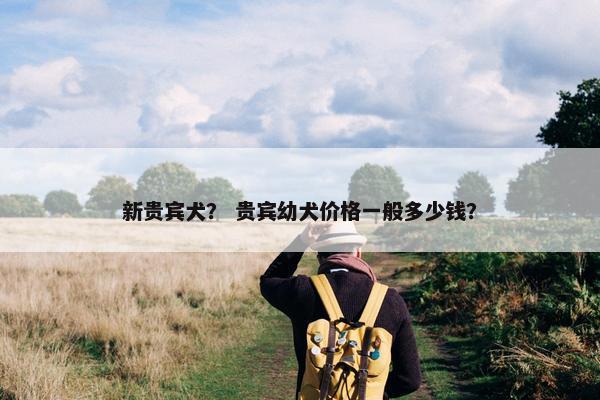 新贵宾犬？ 贵宾幼犬价格一般多少钱？