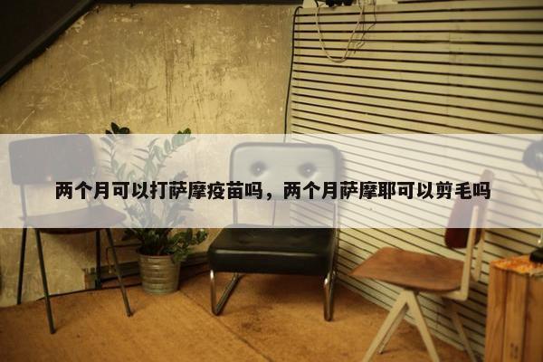 两个月可以打萨摩疫苗吗，两个月萨摩耶可以剪毛吗