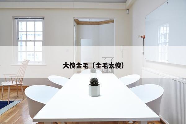 大傻金毛（金毛太傻）