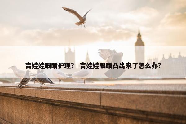 吉娃娃眼睛护理？ 吉娃娃眼睛凸出来了怎么办？