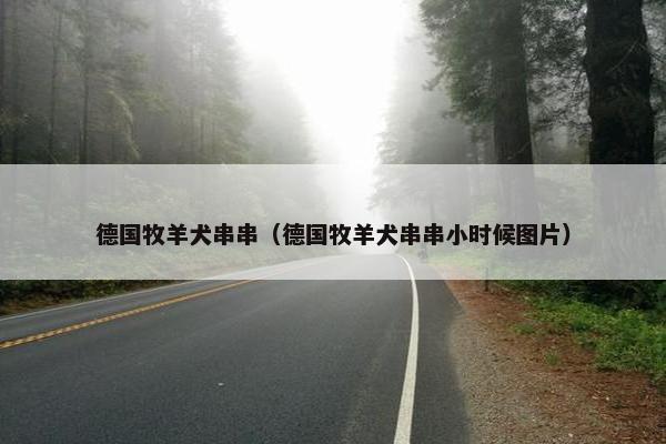 德国牧羊犬串串（德国牧羊犬串串小时候图片）