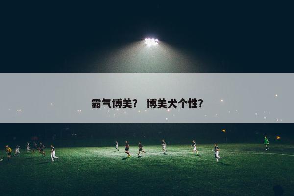 霸气博美？ 博美犬个性？