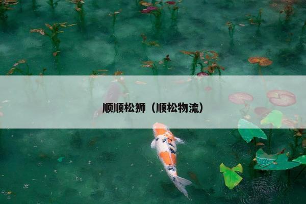 顺顺松狮（顺松物流）