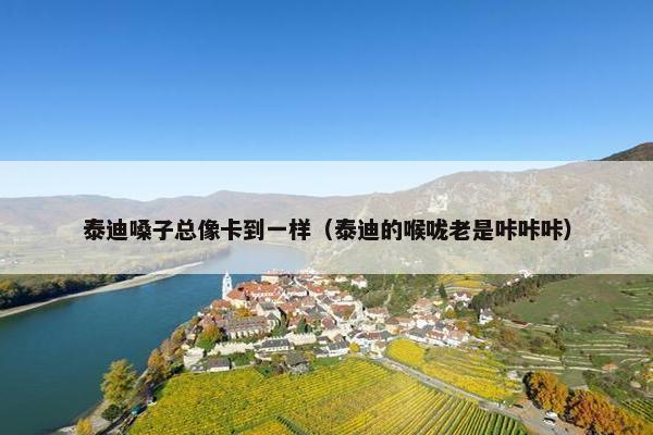 泰迪嗓子总像卡到一样（泰迪的喉咙老是咔咔咔）