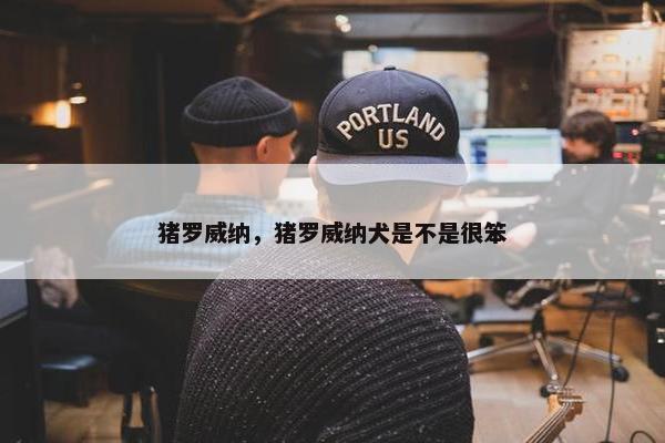猪罗威纳，猪罗威纳犬是不是很笨