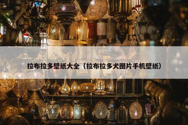 拉布拉多壁纸大全（拉布拉多犬图片手机壁纸）