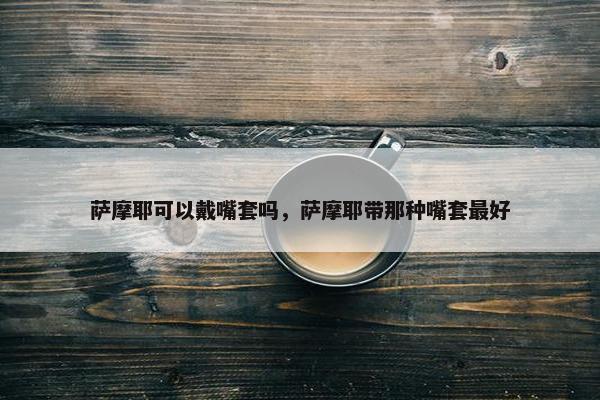 萨摩耶可以戴嘴套吗，萨摩耶带那种嘴套最好
