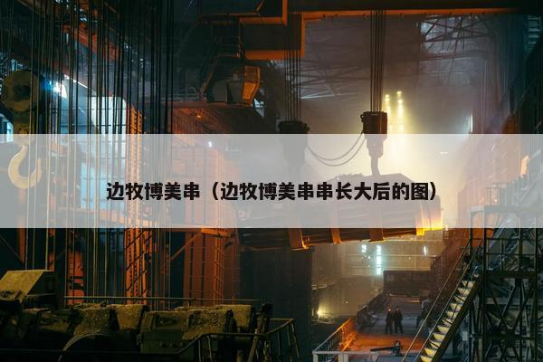 边牧博美串（边牧博美串串长大后的图）