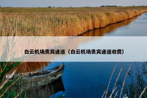 白云机场贵宾通道（白云机场贵宾通道收费）