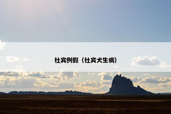 杜宾例假（杜宾犬生病）