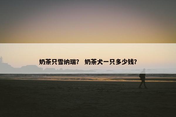 奶茶只雪纳瑞？ 奶茶犬一只多少钱？