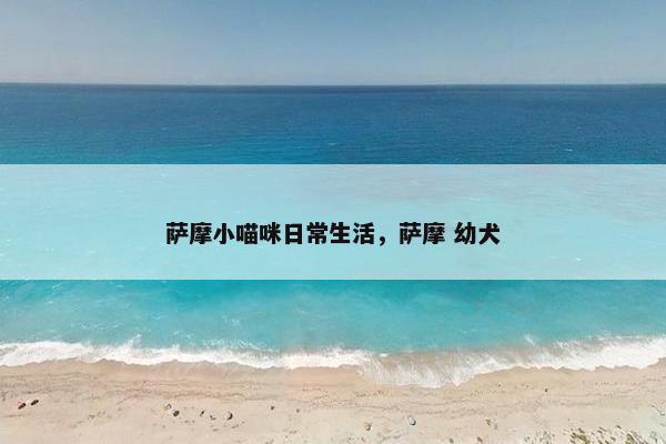 萨摩小喵咪日常生活，萨摩 幼犬