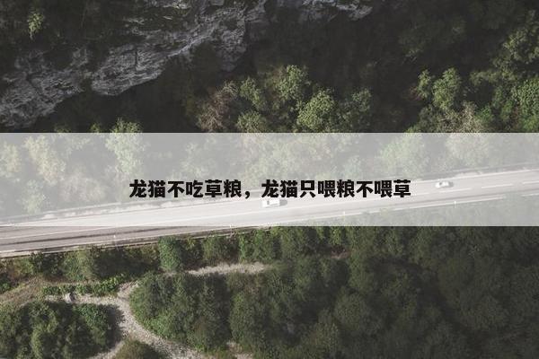 龙猫不吃草粮，龙猫只喂粮不喂草