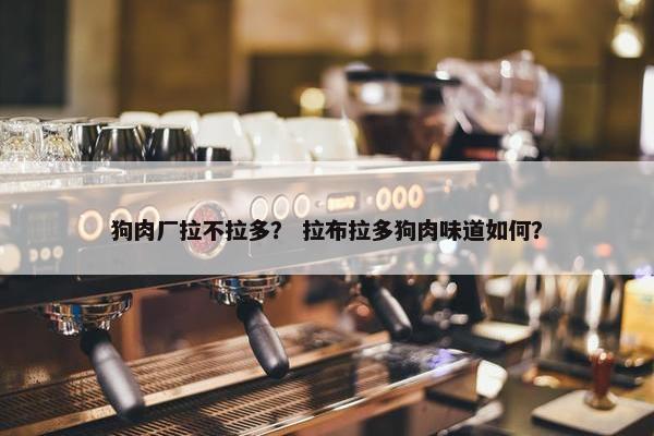 狗肉厂拉不拉多？ 拉布拉多狗肉味道如何？