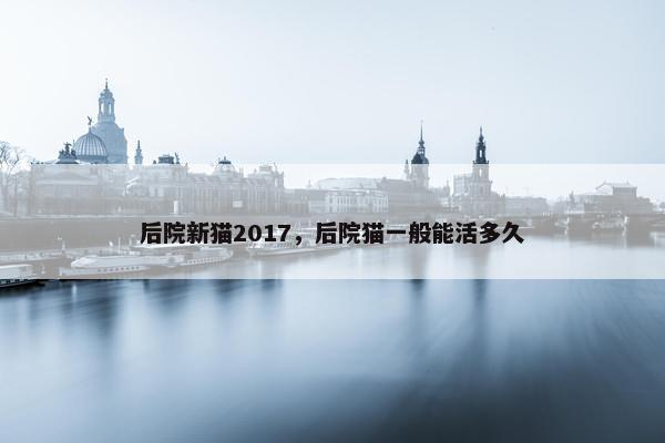 后院新猫2017，后院猫一般能活多久
