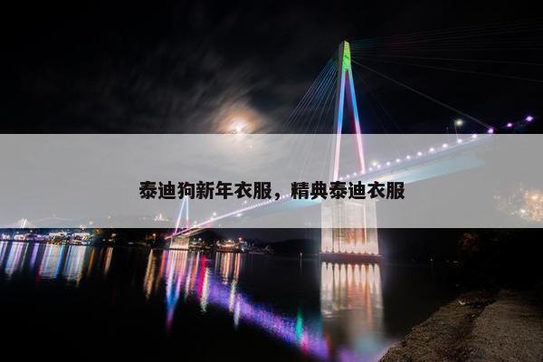 泰迪狗新年衣服，精典泰迪衣服