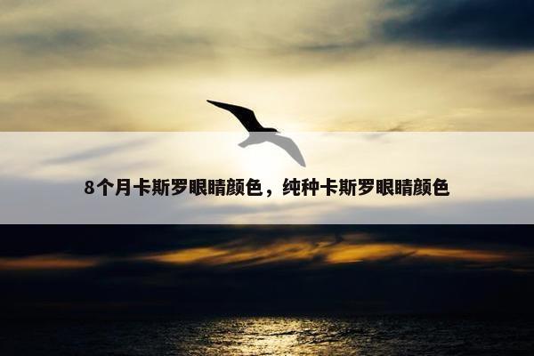 8个月卡斯罗眼睛颜色，纯种卡斯罗眼睛颜色