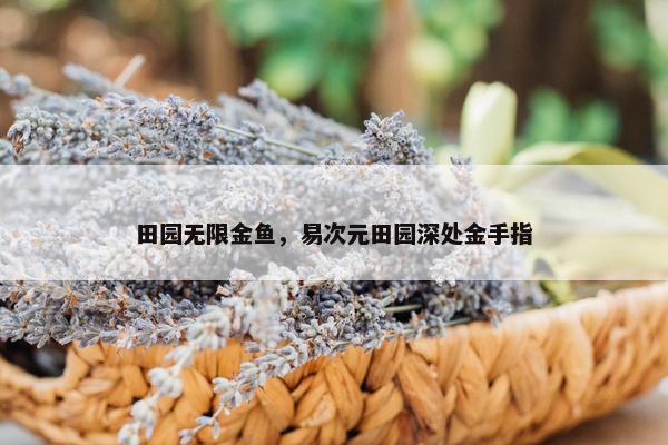 田园无限金鱼，易次元田园深处金手指