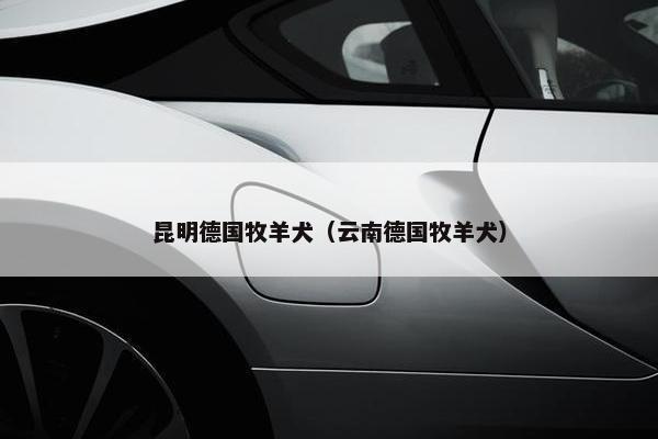 昆明德国牧羊犬（云南德国牧羊犬）