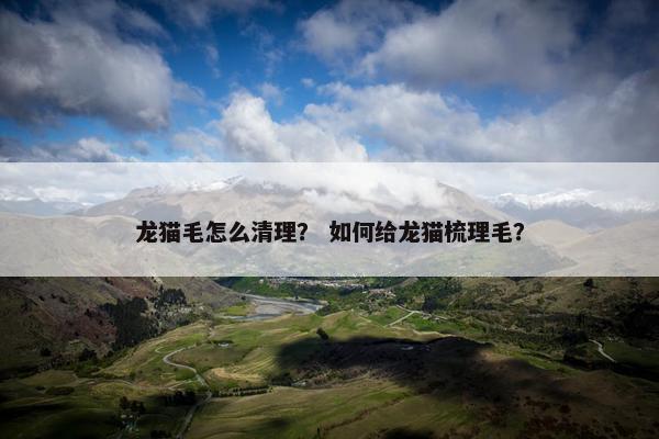 龙猫毛怎么清理？ 如何给龙猫梳理毛？
