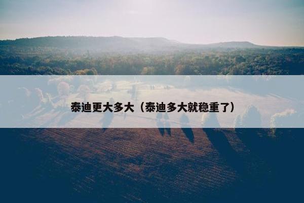 泰迪更大多大（泰迪多大就稳重了）