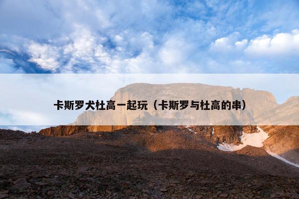 卡斯罗犬杜高一起玩（卡斯罗与杜高的串）