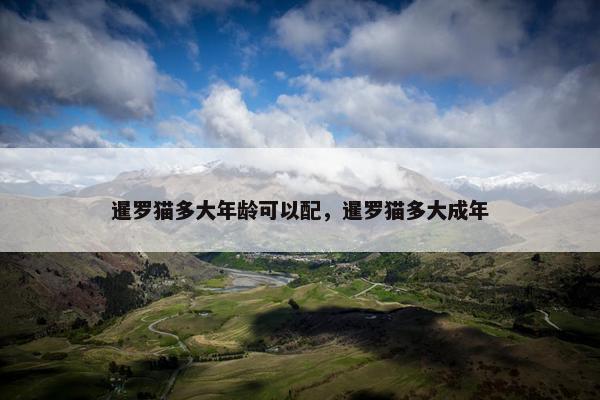 暹罗猫多大年龄可以配，暹罗猫多大成年