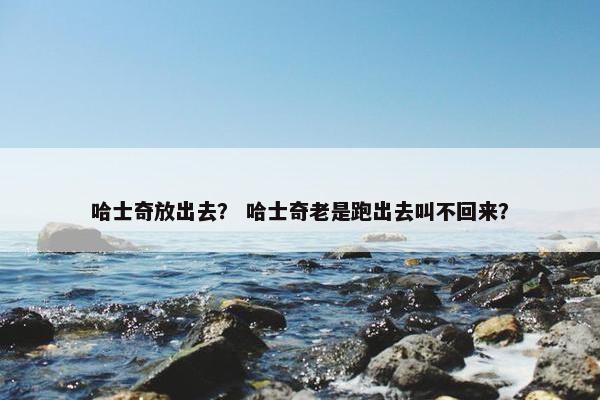 哈士奇放出去？ 哈士奇老是跑出去叫不回来？