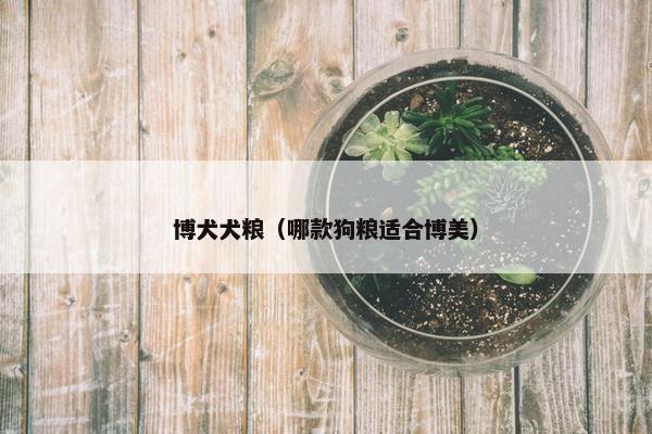 博犬犬粮（哪款狗粮适合博美）