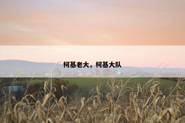 柯基老大，柯基大队