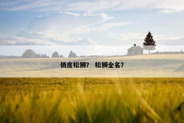 俏皮松狮？ 松狮全名？