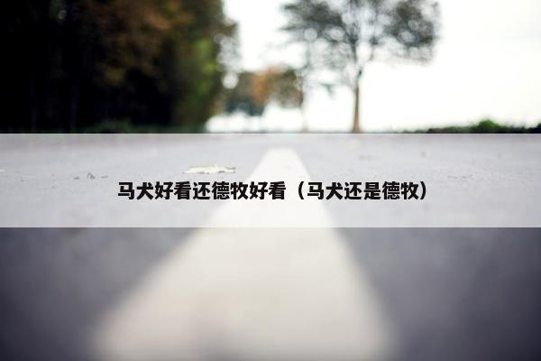 马犬好看还德牧好看（马犬还是德牧）