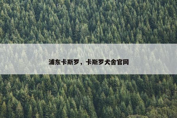 浦东卡斯罗，卡斯罗犬舍官网