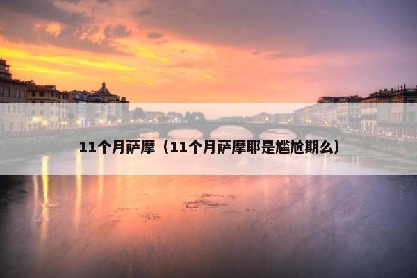 11个月萨摩（11个月萨摩耶是尴尬期么）