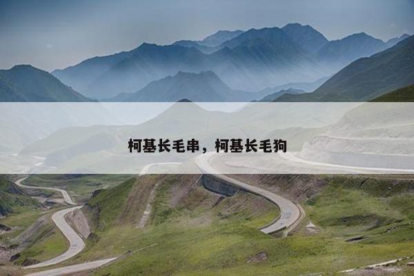 柯基长毛串，柯基长毛狗