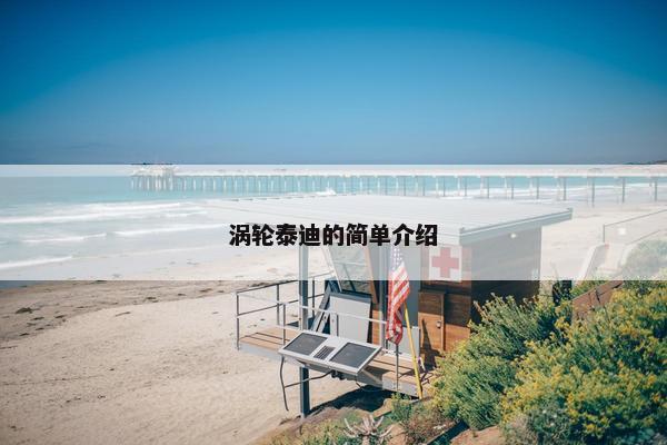 涡轮泰迪的简单介绍