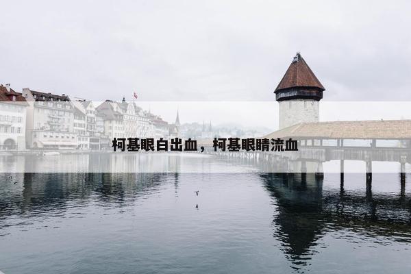 柯基眼白出血，柯基眼睛流血