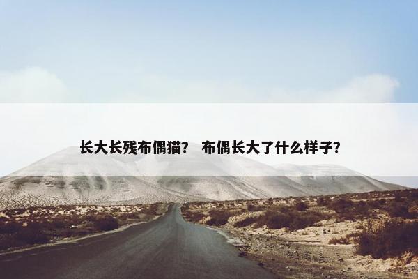 长大长残布偶猫？ 布偶长大了什么样子？