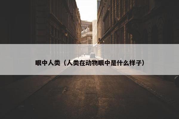 眼中人类（人类在动物眼中是什么样子）