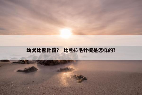 幼犬比熊针梳？ 比熊拉毛针梳是怎样的？
