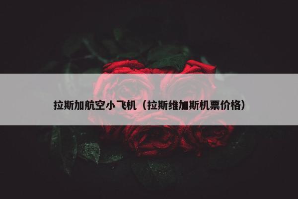 拉斯加航空小飞机（拉斯维加斯机票价格）