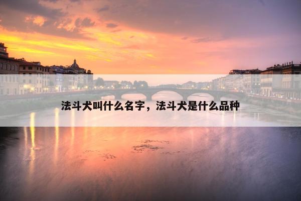 法斗犬叫什么名字，法斗犬是什么品种