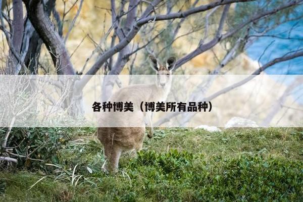 各种博美（博美所有品种）