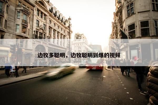 边牧多聪明，边牧聪明到爆的视频